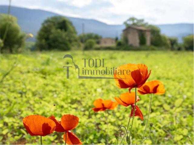 Villa Indipendente in vendita a Izzalini, Umbria