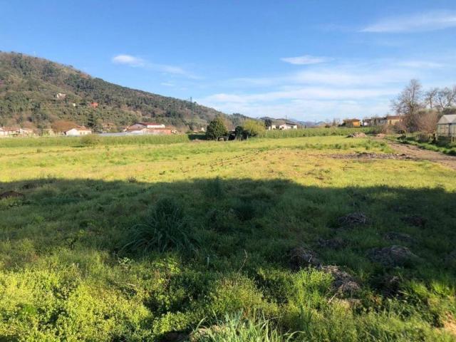 Rustico in vendita a Massarosa, Toscana