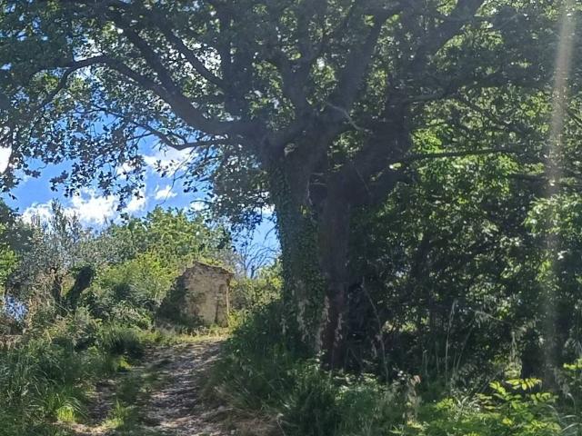 Rustico in vendita a Marche, Ascoli Piceno