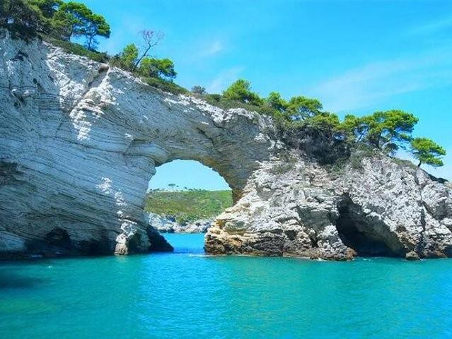 Rustico in vendita a Puglia, Foggia