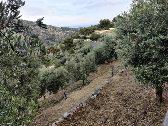 Rustico in vendita a Puglia, Foggia