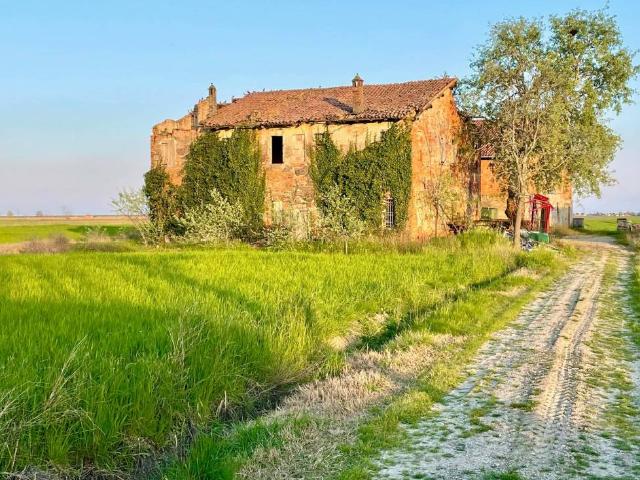 Rustico in vendita a Nuovo Circondario Imolese, Medicina