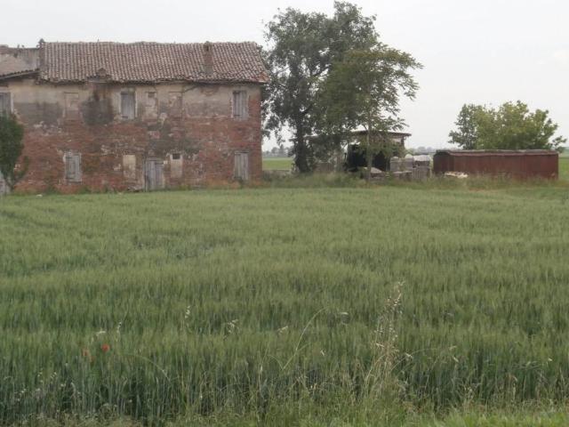 Rustico in vendita a Nuovo Circondario Imolese, Medicina