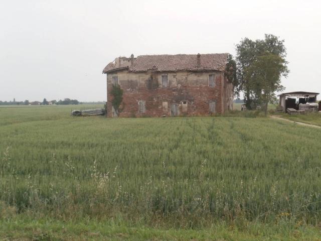 Rustico in vendita a Nuovo Circondario Imolese, Medicina
