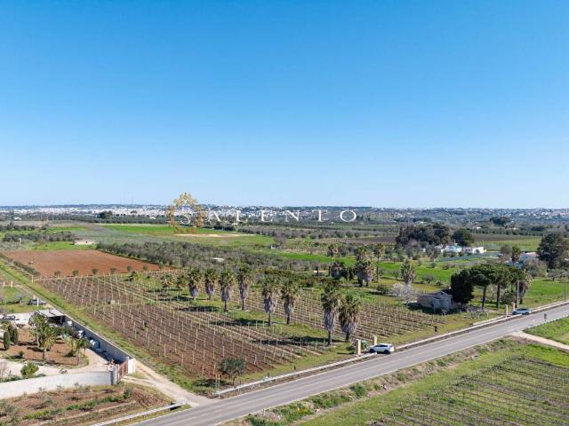 Rustico in vendita a Puglia, Lecce