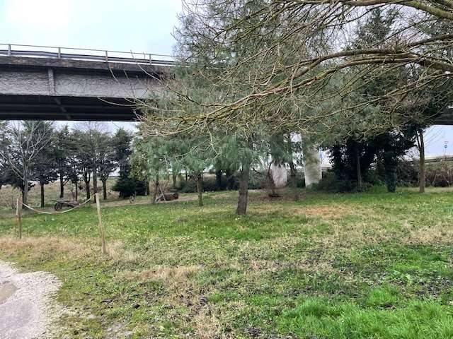 Rustico in vendita a Unione Delta del Po, Mesola