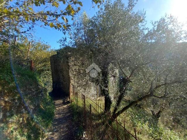 Rustico in vendita a Mezzanego, Liguria