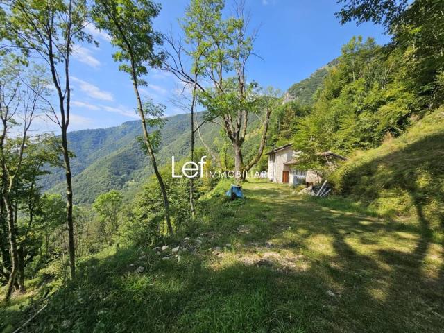 Rustico in vendita a Miane, Veneto