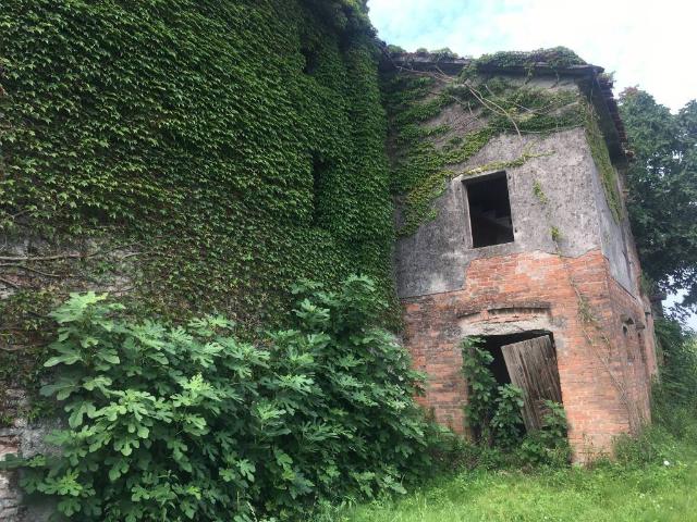 Rustico in vendita a Malcontenta, Mira