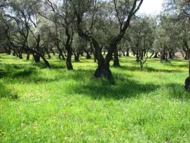 Rustico in vendita a Ca' Rastelli, Misano Adriatico