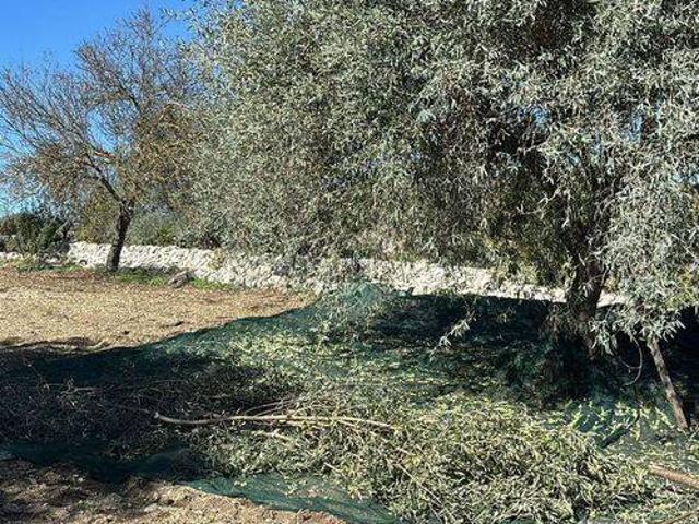 Rustico in vendita a Modica, Ragusa