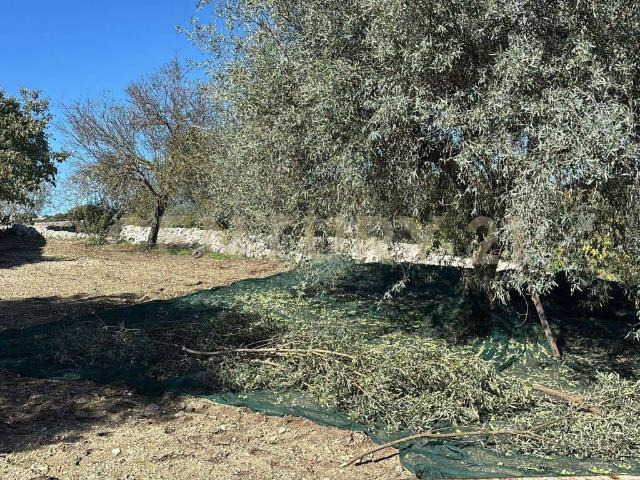 Rustico in vendita a Marina Di Modica, Sicilia