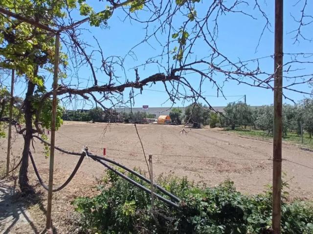 Rustico in vendita a Puglia, Bari