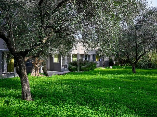 Rustico in vendita a Puglia, Bari