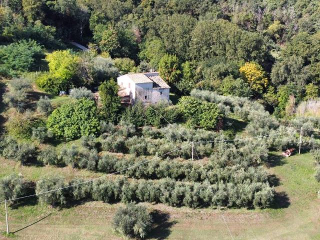 Rustico in vendita a Villagrande, Marche