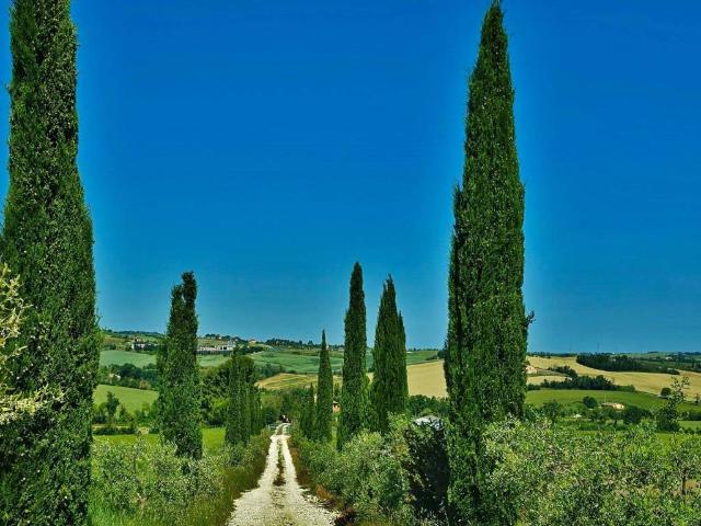 Rustico in vendita a Mombaroccio, Pesaro e Urbino