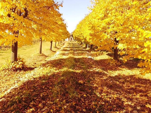 Rustico in vendita a Piemonte, Asti