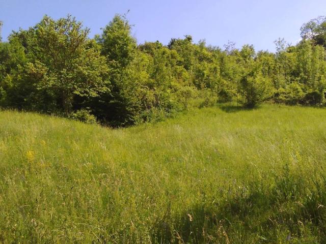 Rustico in vendita a Revigliasco, Piemonte