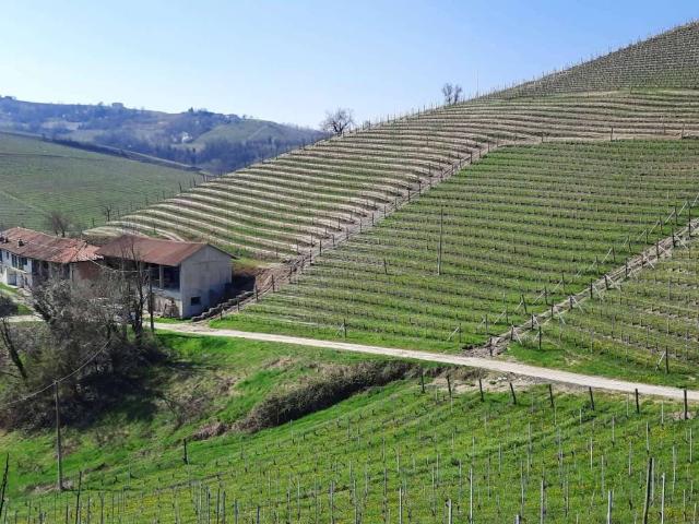 Rustico in vendita a Piemonte, Cuneo