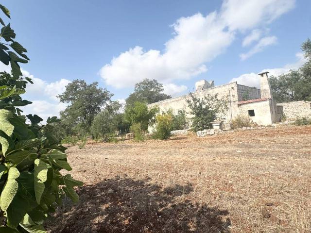 Rustico in vendita a Zingarello, Puglia