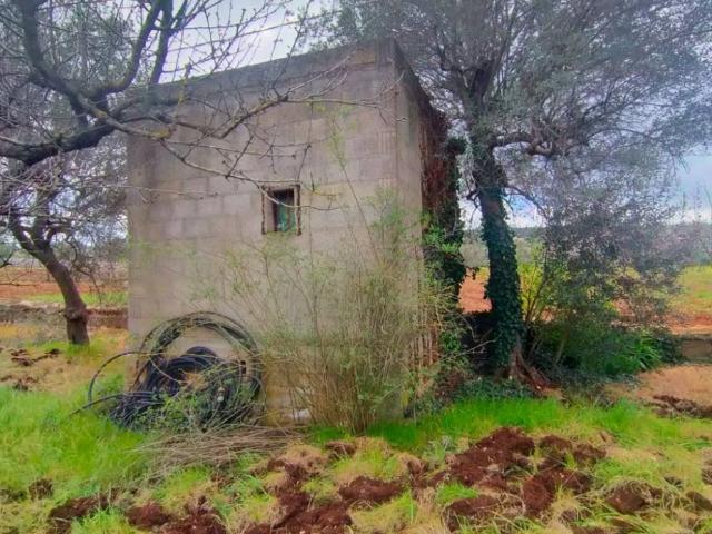 Rustico in vendita a Puglia, Bari