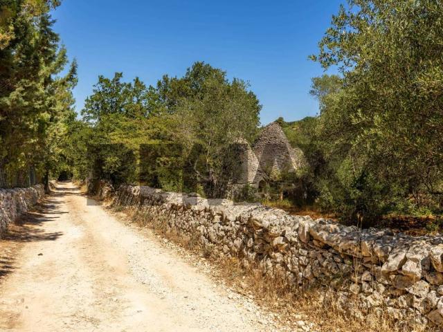 Rustico in vendita a Santa Lucia, Puglia