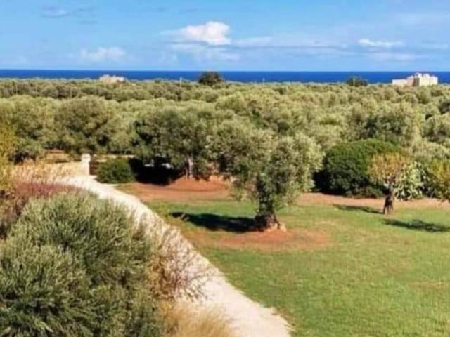 Rustico in vendita a Puglia, Bari