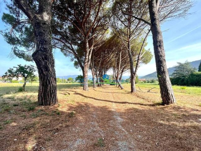 Rustico in vendita a Le Case, Montevettolini