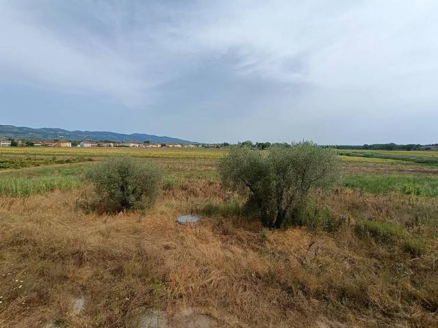 Rustico in vendita a Uggia, Montevettolini