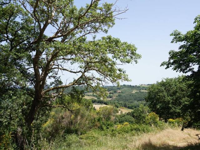 Rustico in vendita a Montisi, Montalcino