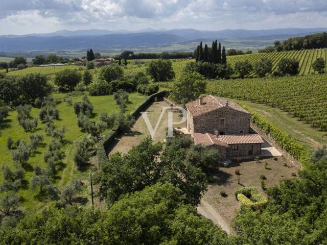 Rustico in vendita a Montalcino, Toscana