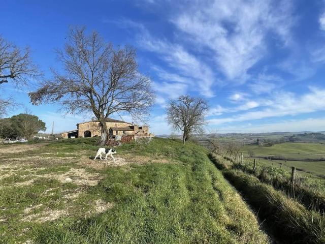 Rustico in vendita a Montalcino, Toscana