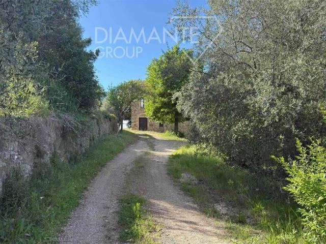 Rustico in vendita a Montalcino, Toscana