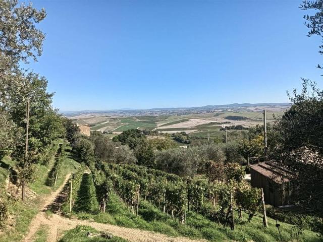 Rustico in vendita a Montalcino, Toscana