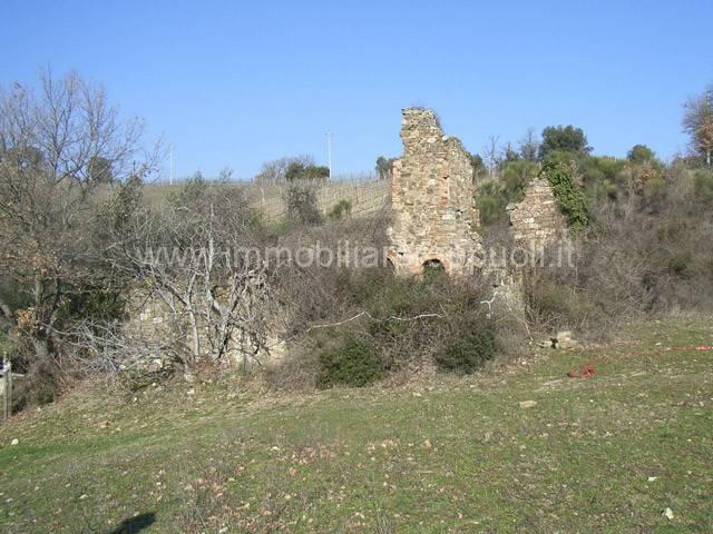 Rustico in vendita a Montalcino, Toscana