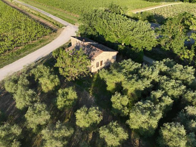 Rustico in vendita a Camigliano, Montalcino