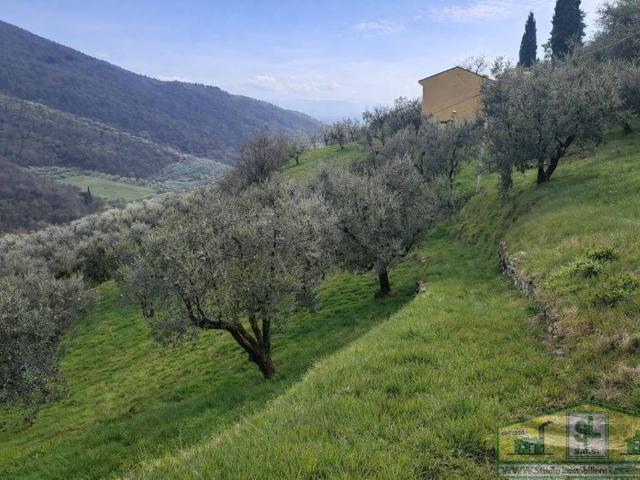 Rustico in vendita a Tobbiana, Montale