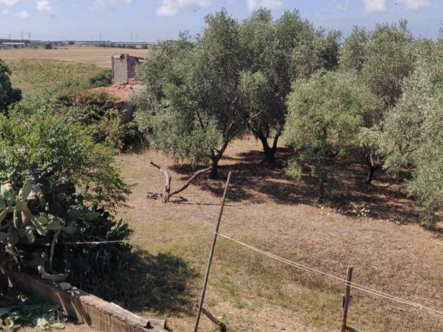 Rustico in vendita a Montalto di Castro, Viterbo