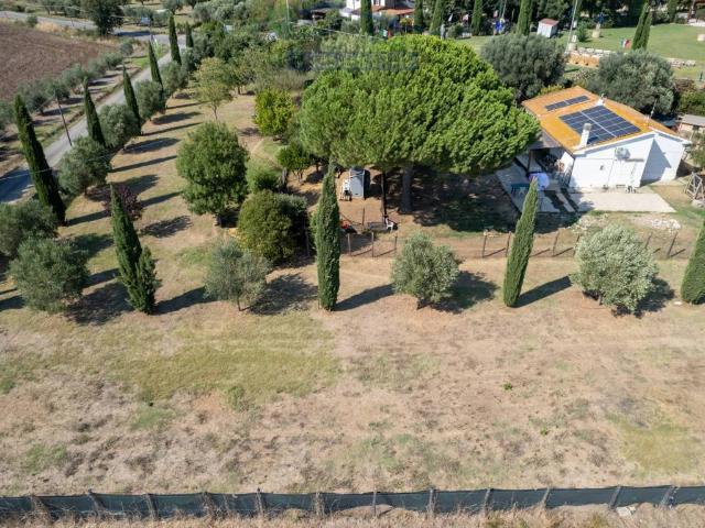 Rustico in vendita a Montalto Di Castro, Lazio
