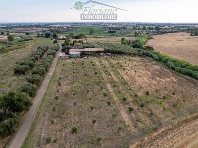 Rustico in vendita a Montalto Di Castro, Lazio