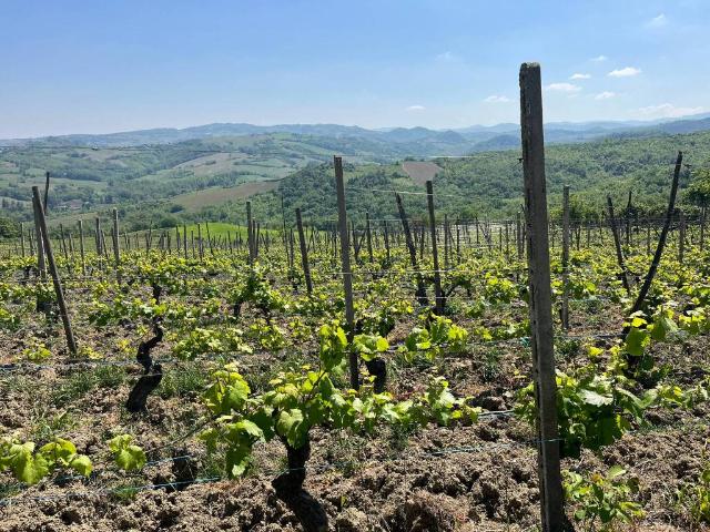 Rustico in vendita a Montalto Pavese, Lombardia