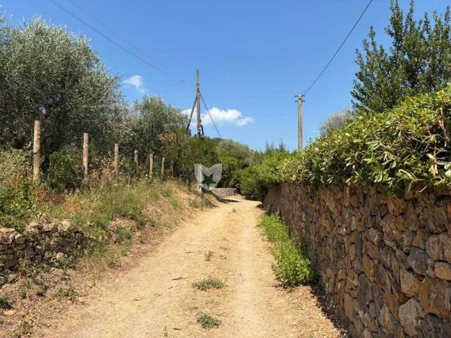 Rustico in vendita a Monte Argentario, Porto Ercole