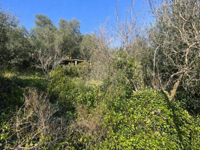 Rustico in vendita a Monte Argentario, Porto Santo Stefano