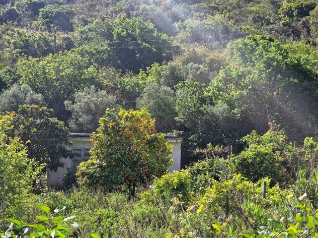 Rustico in vendita a Monte Argentario, Pozzarello