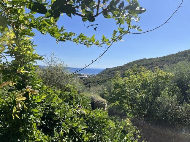 Rustico in vendita a Monte Argentario, Porto Ercole