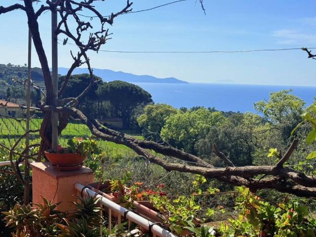 Rustico in vendita a Monte Argentario, Porto Santo Stefano