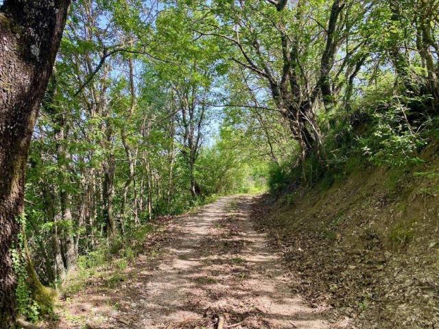 Rustico in vendita a Izzalini, Umbria