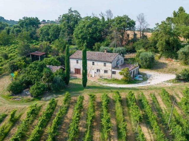 Rustico in vendita a Marche, Ancona