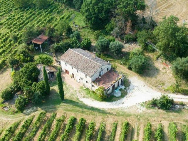 Rustico in vendita a Marche, Ancona
