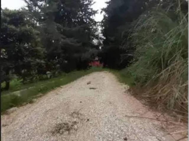 Rustico in vendita a Marche, Ancona